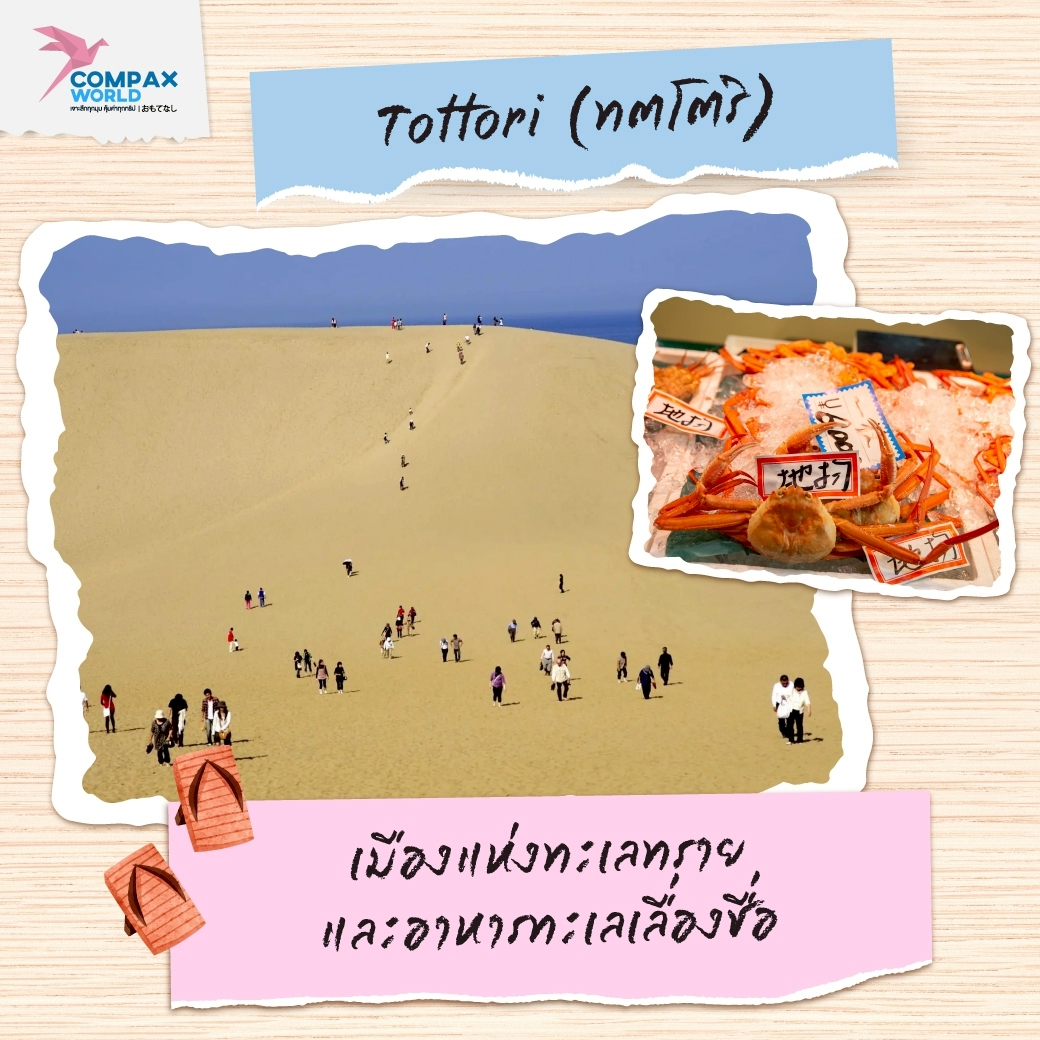 เที่ยวญี่ปุ่น ทัวร์ญี่ปุ่น โปรแกรมทัวร์ญี่ปุ่น